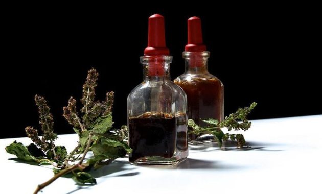 Herbal Oils and Their Healing Properties Unveiled
