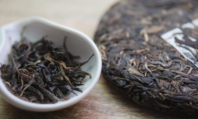 Fermented Tea Beverages You Should Try