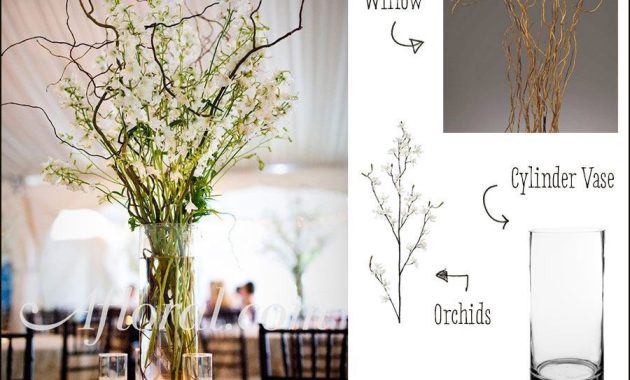 How to Combine Rare Plants and Elegant Decor Pieces for a Stylish Home