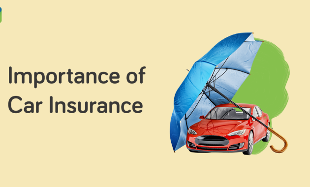 The Importance of Having Auto Insurance Explained Clearly