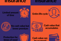 Term Life vs Whole Life Insurance Explained in Detail