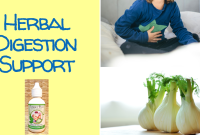 Safe and Effective Herbal Supplements for Digestion Safe and Effective Herbal Supplements for Digestion