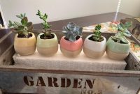 The Best Planters for Displaying Rare Indoor Plants