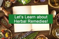 The Science Behind Herbal Remedies That Work The Science Behind Herbal Remedies That Work