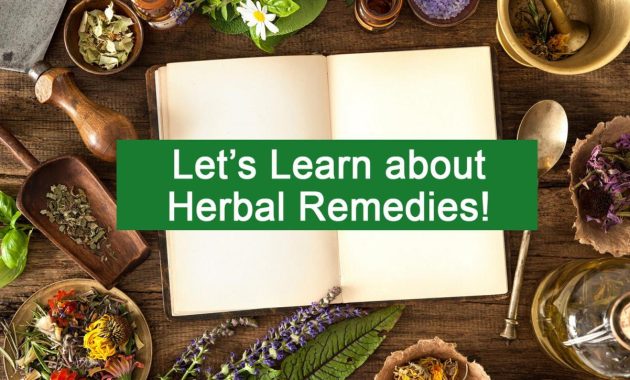 The Science Behind Herbal Remedies That Work