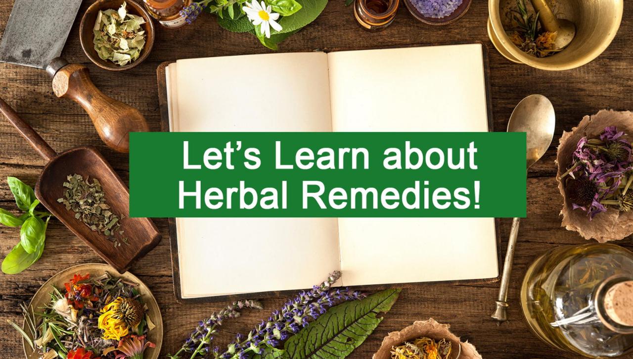 The Science Behind Herbal Remedies That Work